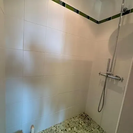 Les Palmiers * Regnéville-sur-Mer